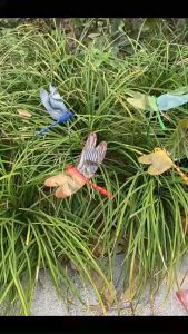 5pcs/set Colorful 3D Dragonfly Garden Yard Planter Flower Arrangement Outdoor Flower Pots Decoration