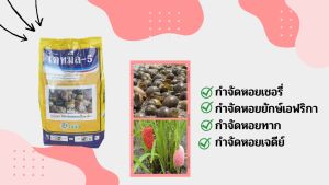 เดทมีล-5 ยาฆ่าหอย สารกําจัดหอย สารเมทัลดีไฮด์ ขนาด 1kg