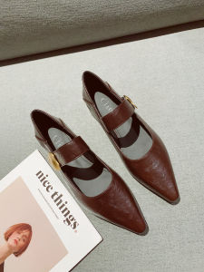 French Vintage Pointed Toe Mary Jane Shoes Womens 2025 New Simple Versatile Thick Heel Work Single Shoes Fashionable Daily Wear