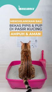 Bulubolu Odor Control Spray Penghilang Bau Pesing/Kotoran Hewan dan Segala Bau Tak Sedap Membunuh Bakteri dengan Aroma Mewah Bunga Lily 250ml (Varian FANCY)