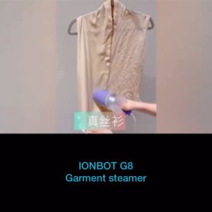 IONBOT G8  Portable Handheld Garment Steamer