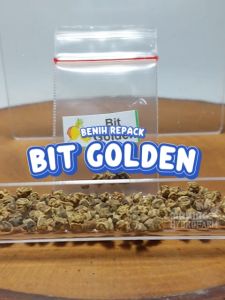 Bit Golden Detroit Unggulan Berkualitas biji buah beet root beetroot ubi bibit repack hydroponik hidroponik sayuran sayur