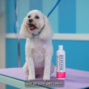 Sữa tắm cho chó cao cấp HYPONIC Hypoallergenic dưỡng da và làm mượt lông cho mọi loại chó