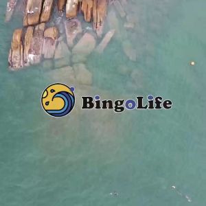 BingoLife Benang Pancing 100m Nilon Mudah Tenggelam Kuat 19kg~56kg Fluorocarbon Coated Fishing Line Professional Main Line Sub Line