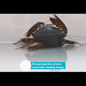 6Pcs/Box Cockroach Killer Bait Traps Effective Removal Cockroach Pest Safe Non-toxic Insect Control For Home And Kitchen Use