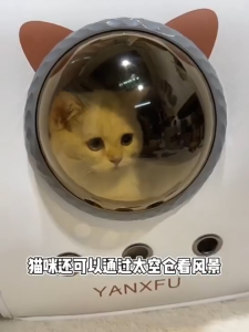 Tas Ransel Kucing Capsule Anti Stres Beban 20kg Desain Ergonomis Membawa Nyaman dan Aman