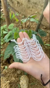 [HCM] 100 Chiếc Vườn Cây Cố Định Kẹp Cây Vườn Hoa Bó Nhánh Kẹp -TyHome