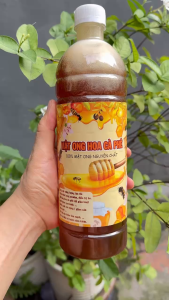 1 Lít Mật Ong Hoa Cà Phê Nguyên Chất DTFood (1250g)
