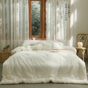 Thickened Soy Fiber Blanket Warm Simple Style Four Seasons Universal Heated Dye-Free Double Person Dormitory Core Quilt