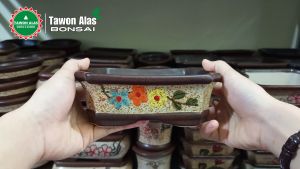 Pot Bonsai Keramik Segi Empat Persegi Panjang Small Kecil Mame Mini
