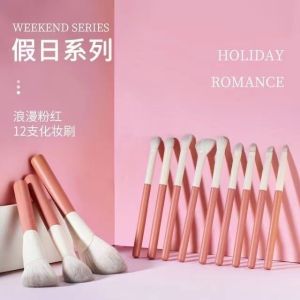 Ultra Soft Hair Makeup Brush Set 12 Pieces Complete Professional Eyeshadow Loose Powder Brush Long Handle Facial Beauty Tools