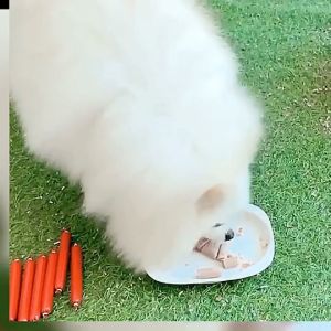 เครื่องสำอางแฮมสัตว์เลี้ยง 15กรัม ช่วยกรอกหมา ขนมหมา อาหารหมา ขนมสัตว์เลี้ยง ใช้เม็ดหรือรางวัลได้