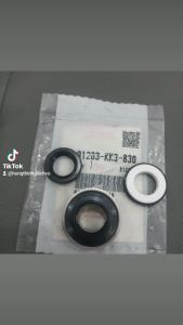 Ron máy Sh ý  Dylan   Ps Chính Hãng Mới