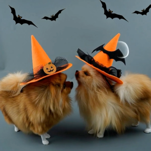 ชุดฮาโลวีนหมาแมว Halloween for pet  หมวกฮาโลวีนสำหรับสัตว์เลี้ยง ลายแมงมุม ค้างคาว แม่มด ทุกแบบอลังการแห่งความน่ากลัว