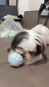 Dog Treat Dispensing Toy TPR Chicken Leg Chew Toy Dental Cleaning Bite Resistant Puppy Interactive Feeder Toy Pet Supplies