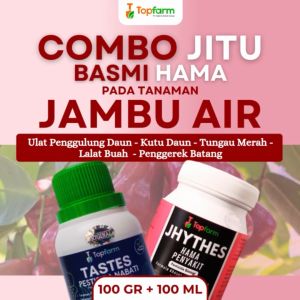 Insektisida Topfarm: Solusi Terbaik untuk Mengendalikan Ulat dan Hama Putih pada Daun Jambu Air