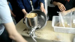 Corn Mill & Manual Rice Mill: A Comprehensive Guide