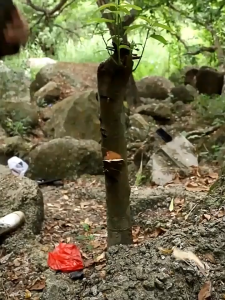 【24 Hour Shipping🚗✔️】Hatchet axe Tomahawk Special Knives & Tools Handy For Camping Gardening and Hiking