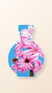 Nước Hoa Nữ IMMORTEL N°777 - Eau de Parfum 60mL Nhập Khẩu Chính Hãng Pháp