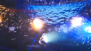 Swimming pool LED underwater lights RGB Decorative IP68 Waterproof Fountain Landscape Pond Outdoor wallpaper light AC24V