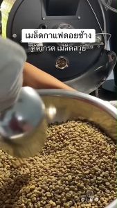 เมล็ดกาแฟคั่ว เมล็ดกาแฟดอยช้าง กาแฟดอยช้างของแท้ กาแฟเกรดA เอสเปรสโซ่ อราบิก้า40% โรบัสต้า60% คั่วกลางเข้ม CiNO coffee กาแฟสด
