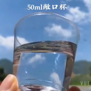 Disposable Clear Plastic Cups Transparent Party Wedding Banquet Office Catering Cawan Plastik 一次性航空杯
