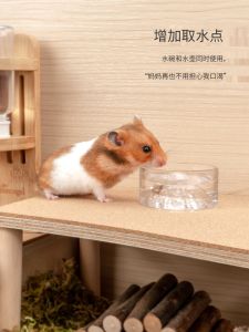 Fuji Mountain Scenery Water Bowl for Hamsters And Golden Retriever Dogs Pet Drinking Water Fountain Bowl Feeder Water Bottle