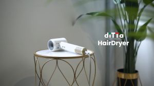 DITTA 1600W High Speed Silent Negative Electric Hair Care Hair Dryer 60 Million Plasma Negative Ion 17M/S Airspeed