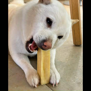 JLB 100% Himalayan Flavoured Yak Chew Chhurpi Yak Bite Dog Dental Chew Dog Treats 牦牛起司棒 狗狗磨牙棒 狗狗零食