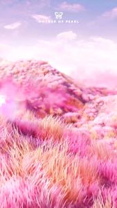 MOTHER OF PEARL MOP - Tender Touch Soft Ombré Powder Blush