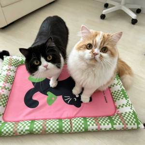 Teeker Pet Cooling Pet Nest with Cute Cat Print Directly for All Season Washable for Cats & Dogs