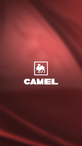 Camel SP-K60 Spin Dryer with Powerful Motor and 6kg Capacity - Heavy Duty - Energy Efficient - Rust and Pest Proof - Durable