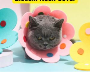 Abang Furry Blossom Neck Collar Pet postoperative beauty cleaning protective cover Anti Lick Bite Scretch 宠物术后美容清洁防添防咬