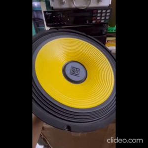Mobile Technology Instrumental 15 Inches 1000W - SUB-1595MT(Y)