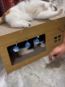 ที่ฝนเล็บแมว บ้านแมวกระดาษ บ้านแมว ที่นอนแมว คอนโดแมว ที่ลับเล็บแมว บ้านลับเล็บแมว ของใช้แมว กล่องแมว ของเล่นแมว แมว