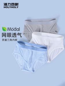 Boys Ice Silk Modal Mesh Underwear Triangle Pants Thin Summer Shorts for Teenagers And Preteens Comfortable Breathable Innerwear