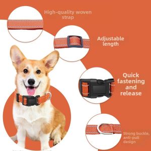 FEIZHUXIANSEN | Durable Dog Leash & Anti-Choke Collar for Small & Large Dogs