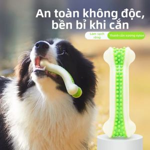 EETOYS | Durable Chew Toy for Large Dogs and Puppies