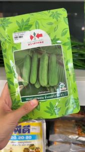 เมล็ดแตงกวา ธันเดอร์กรีน ธันเดอร์กรีน1 ตราศรแดง 100 กรัม