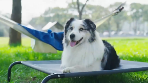 【Stronger Elevat Dog Bed】Large Pet Bed Breathable And Moisture-Resistant Dog Bed Removable Washable