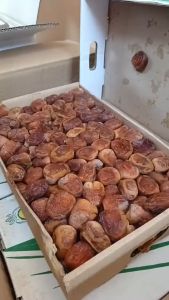 Kurma Sukari Kemasan Ember Al Qassim Premium Dates Impor