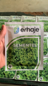 Sementel Benih selada batavia bejo seed 1000 pills