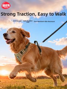 Hipidog | Large Dog Leash Vest Style Break-Proof Rope For Golden Retriever Labrador Medium Dogs