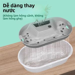 NAICHONG | Bể Nuôi Rùa Lười Tại Nhà