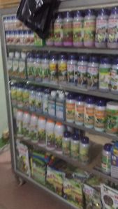 Phân bón lá Kali Sinh Học Boly Bioking L chai 1 lít Lúa Giải Độc và Ra Rễ