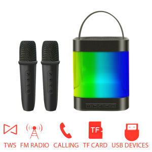 TWS Wireless and Bluetooth Speakers With Mic Outdoor camping Portable Speakers FM Radio portable karaoke with mic new audio system with microphone Bluetooth speaker for family gatherings