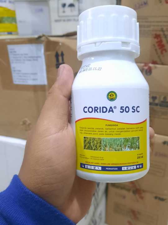 Svingerlar va sohildagi jinsiy aloqa (videoni tomosha qiling)