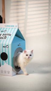 Nhà cào móng  cho mèo sữa dê PetQ cho mèo Thiết kế xinh xắn Kết hợp decor phòng - T3 PETS SHOP