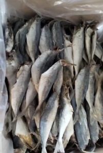 PROMO!!! ikan asin peda layang PK / KLOTOK PK SUPER