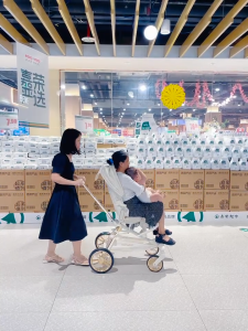 Baobaohao V16max Baby Stroller 2 Way All Terrain Foldable Lightweight with Tray (Upgrade Canopy)